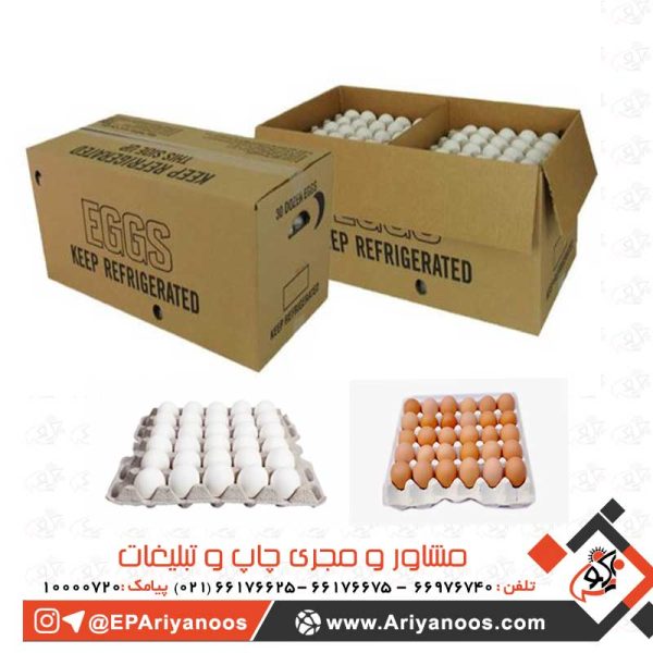 Egg Packaging Box 500X500 1